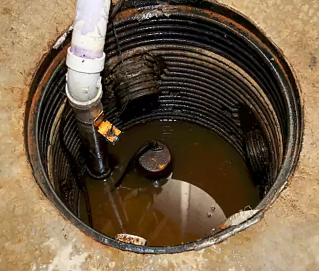 Meet Our Local Fort Lauderdale, FL Plumbing Team