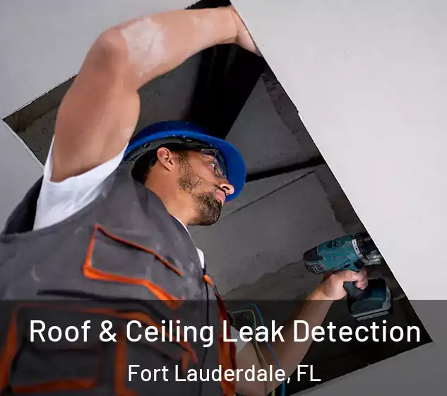  Roof & Ceiling Leak Detection Fort Lauderdale, FL